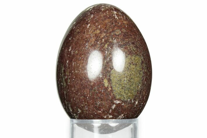 Colorful Polished Phiroza Agate Egg - India #326811